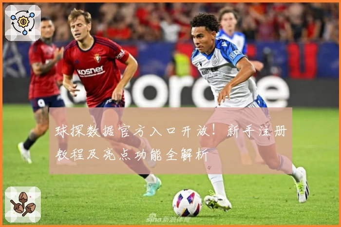 球探数据官方入口开放！新手注册教程及亮点功能全解析