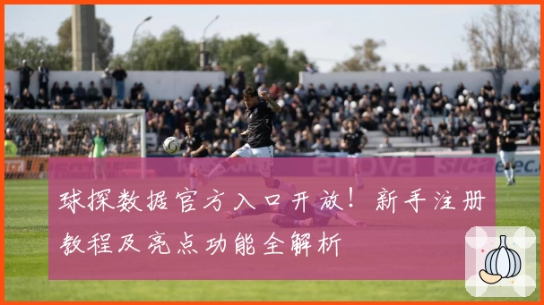 球探数据官方入口开放！新手注册教程及亮点功能全解析