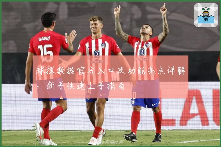 球探数据官方入口及功能亮点详解，新手快速上手指南