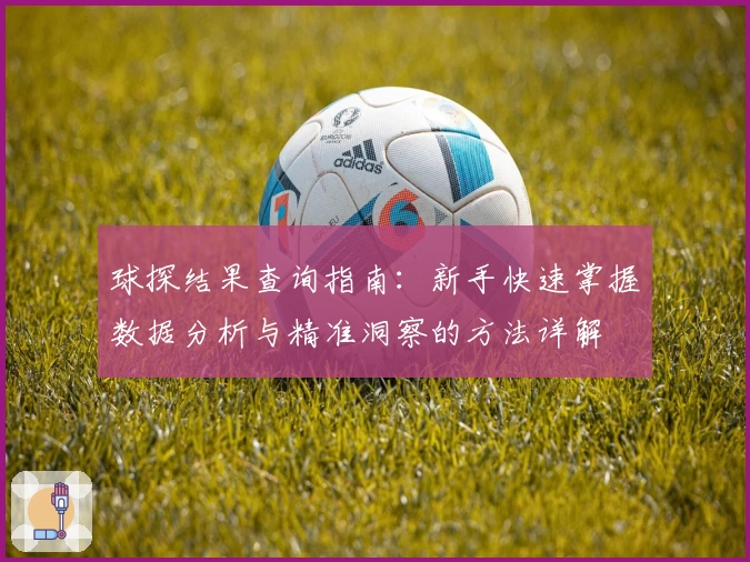 球探结果查询指南：新手快速掌握数据分析与精准洞察的方法详解