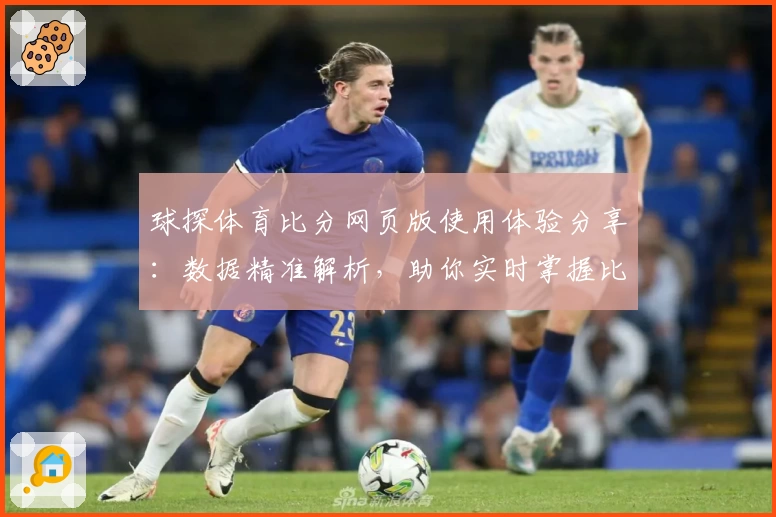 球探体育比分网页版使用体验分享：数据精准解析，助你实时掌握比赛动态