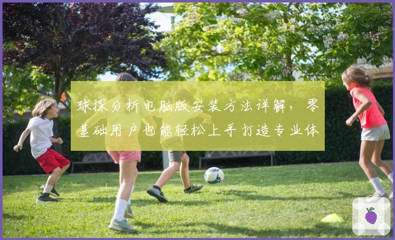 球探分析电脑版安装方法详解，零基础用户也能轻松上手打造专业体验